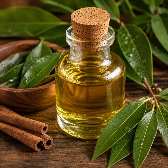 Cinnamon leaf oil
